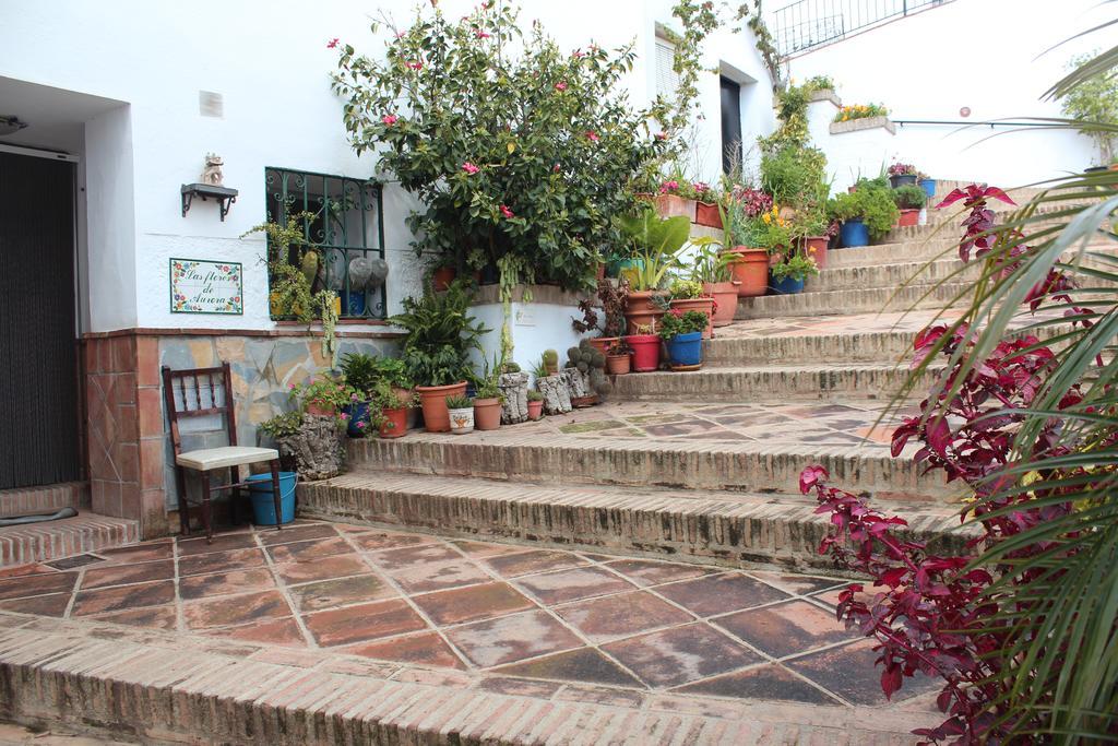 Casas Rurales Jardines Del Visir Genalguacil Exterior photo