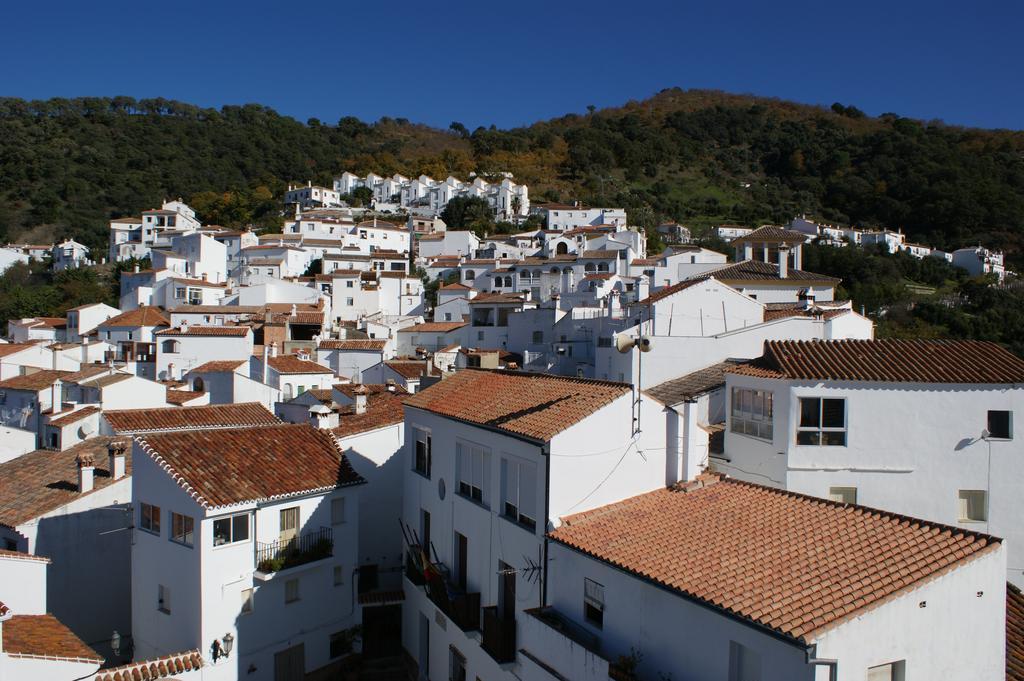 Casas Rurales Jardines Del Visir Genalguacil Exterior photo